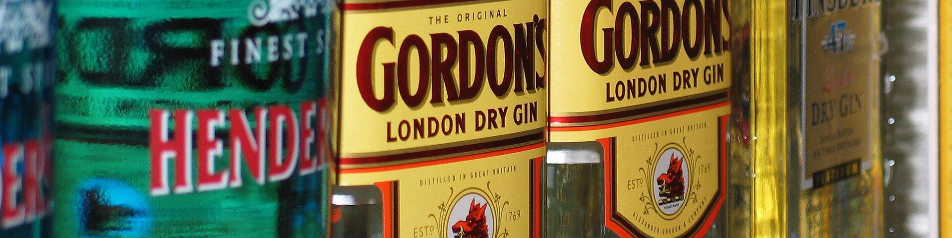 Gin einkaufen