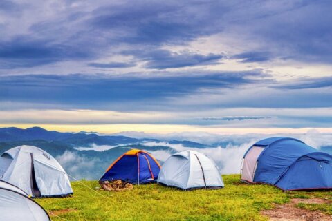 Clever campen: Moderne Gadgets und Apps für ein unvergessliches Outdoor-Abenteuer