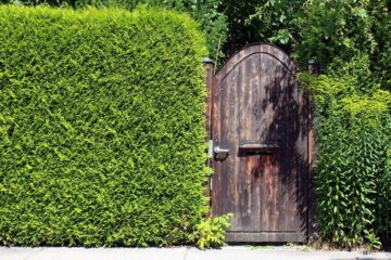 Natürlicher Charme im eigenen Garten: Sichtschutz mit Hecken und Sträuchern